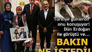 Hamdu Sena, Cumhurbaşkanı Erdoğan'dan yaylaya yol istedi