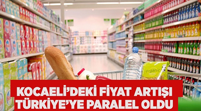 Kocaeli'deki fiyat artışı Türkiye'ye paralel oldu