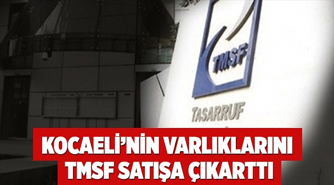 Manşet Kocaeli’nin varlıklarını TMSF satışa çıkarttı