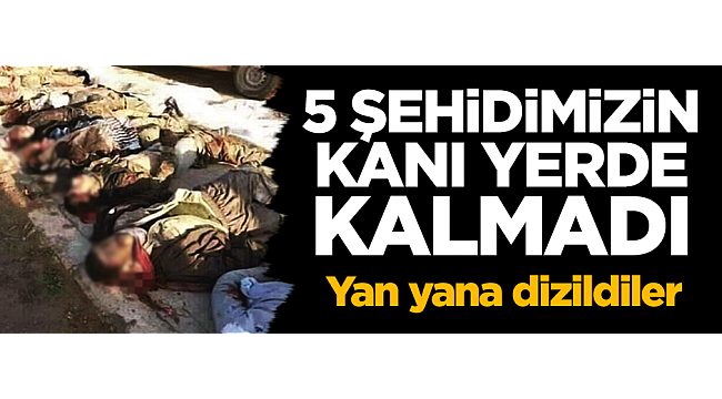 5 şehidimizin kanı yerde kalmadı! Anında hesabı soruldu