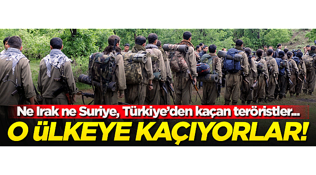 Azerbaycan'dan flaş haber! Türkiye'den kaçan PKK'lılar oraya...