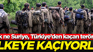 Azerbaycan'dan flaş haber! Türkiye'den kaçan PKK'lılar oraya...