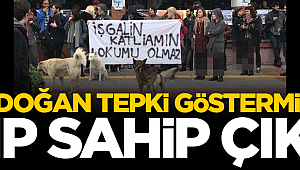 Erdoğan tepki göstermişti... CHP sahip çıktı!