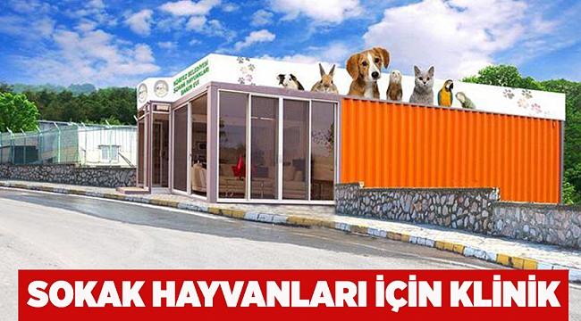 Sokak hayvanları için klinik