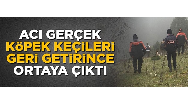 Acı gerçek köpek keçileri ahıra geri getirince ortaya çıktı