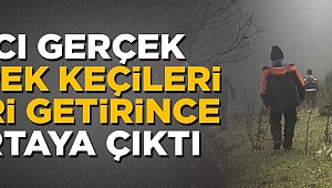 Acı gerçek köpek keçileri ahıra geri getirince ortaya çıktı