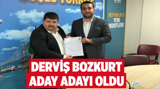 Derviş Bozkurt aday adayı oldu