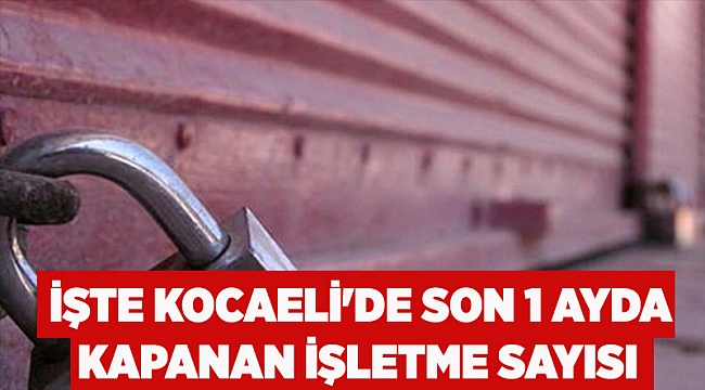 İşte Kocaeli'de son 1 ayda kapanan işletme sayısı