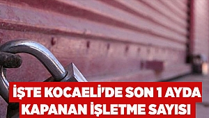 İşte Kocaeli'de son 1 ayda kapanan işletme sayısı