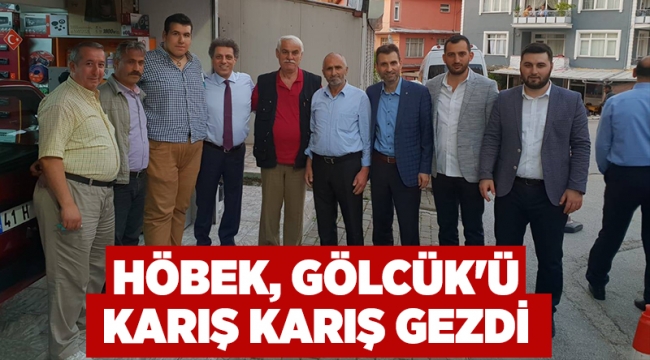 Höbek, Gölcük'ü karış karış gezdi