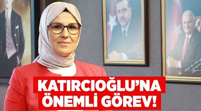 Katırcıoğlu’na Karabük’te görev!