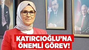 Katırcıoğlu’na Karabük’te görev!