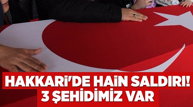 Hakkari'de hain saldırı