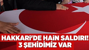 Hakkari'de hain saldırı