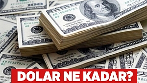 Dolar ne kadar?