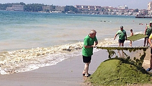 Bayramoğlu plajı temizleniyor