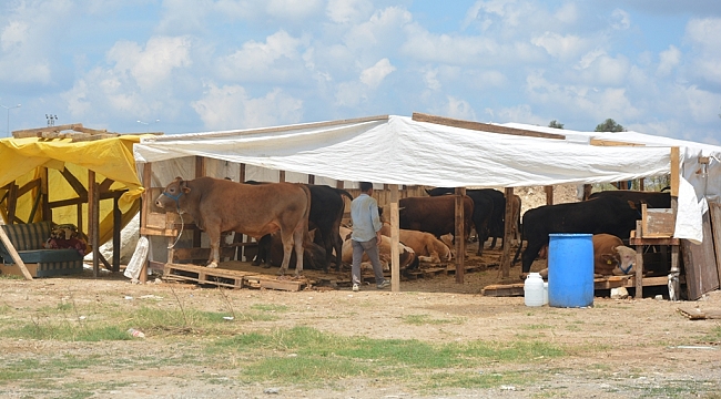 Dilovası  bayrama hazır