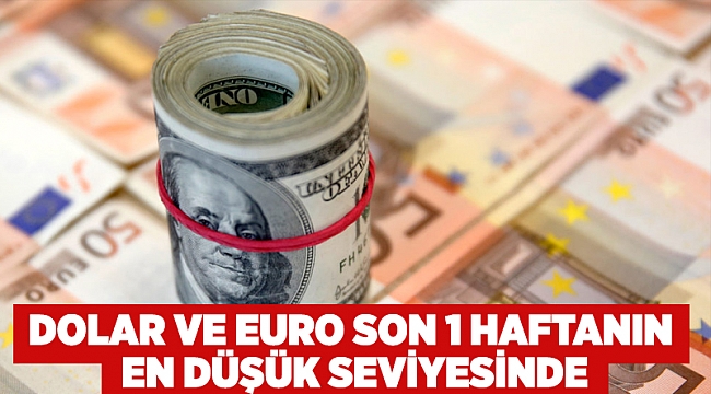 Dolar ve Euro son 1 haftanın en düşük seviyesinde