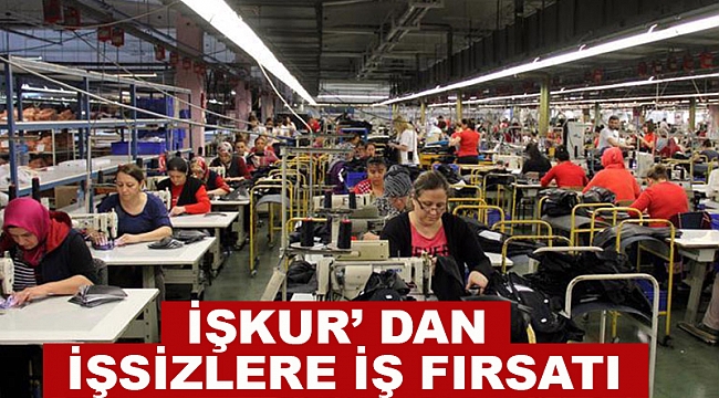 İŞKUR'dan işsizlere iş fırsatı