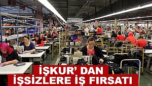 İŞKUR'dan işsizlere iş fırsatı