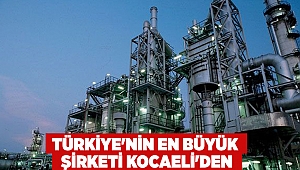 Türkiye'nin en büyük şirketi Kocaeli'den