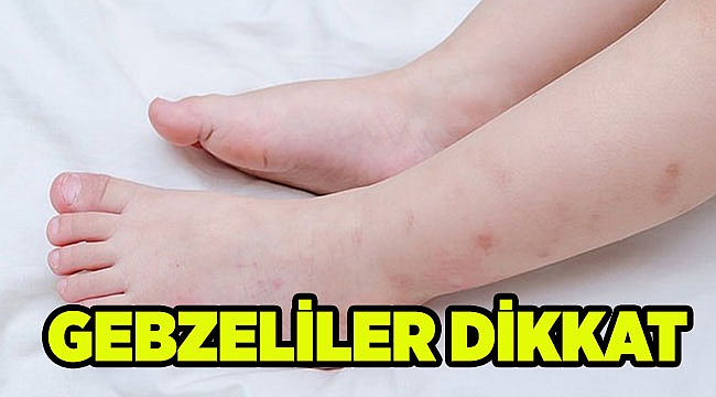 Gebzeliler dikkat