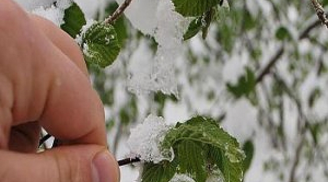 Meteoroloji'den son dakika uyarısı!