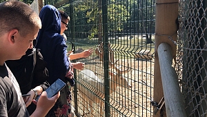 Bosnalı gençler Kocaeli’ye hayran kaldı