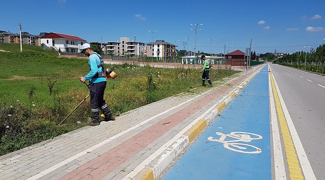 Günde Yaklaşık 20 Bin Metrekarede Ot Biçiliyor