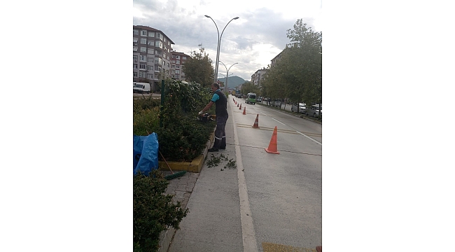 Kocaeli'nde orta refüjler bakımdan geçiyor