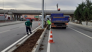 Bahriye Üçok Caddesi yeşillendirildi   