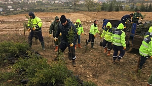 Tavşanlı Polyak dolgu alanına 8 bin 700 fidan