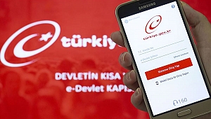 Artık e-devlet'ten yapabilirsiniz