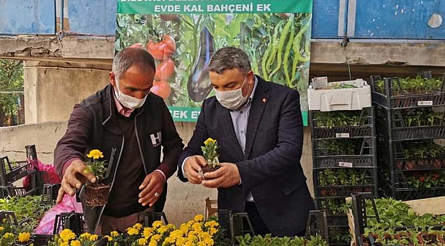 Başkan Şayir, vatandaşlara çiçek tohumu dağıttı