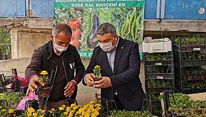 Başkan Şayir, vatandaşlara çiçek tohumu dağıttı