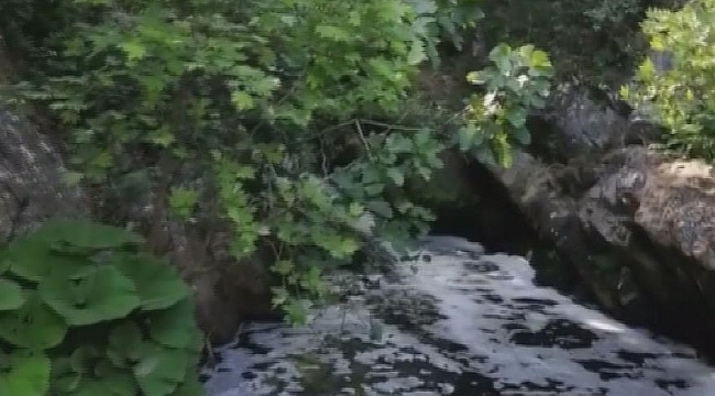 Atık bırakılan dere köpürdü