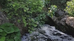 Atık bırakılan dere köpürdü