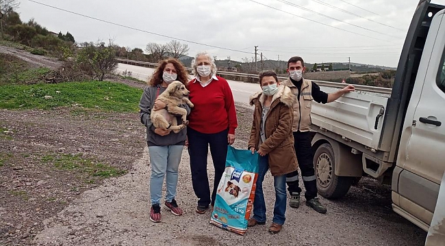 Büyükşehir, sokak hayvanları için 1,5 ton mama dağıttı