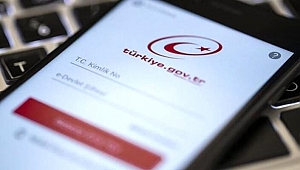 E-Devlet'te 800'den fazla hizmet açıldı