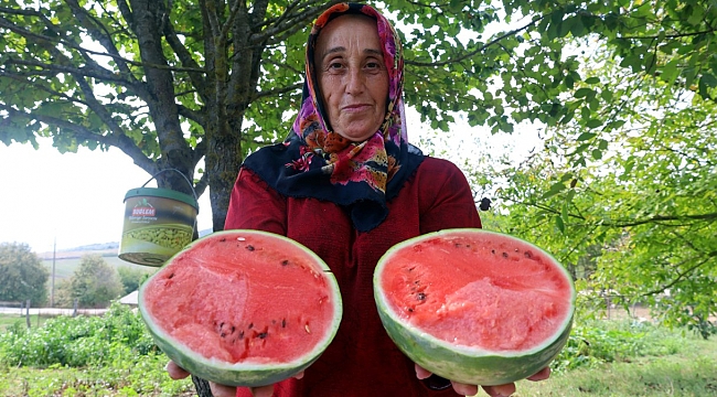 KANDIRA’NIN LEZZETLİ KARPUZU SOFRALARI SÜSLEYECEK