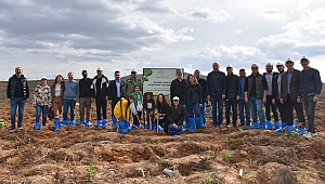 Çolakoğlu Metalurji “Her Bin Ton Bir Ağaç” Projesiyle Geleceğe Yeşil Bir Miras Bırakıyor