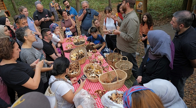 Ormanya’da mantar avı düzenlendi