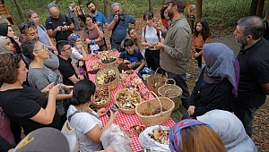 Ormanya’da mantar avı düzenlendi