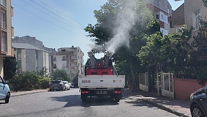 Çayırova’da vektörle mücadele sürüyor