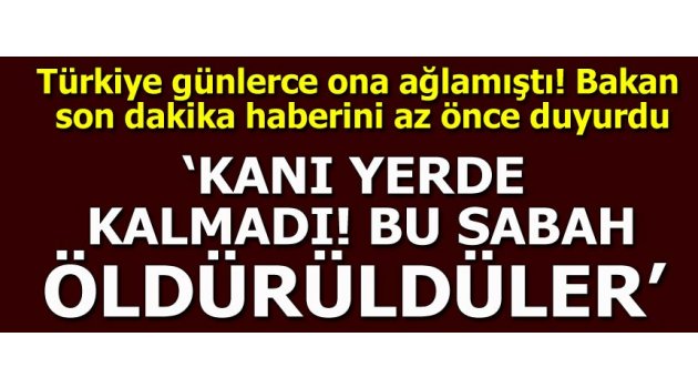  Bakan açıkladı! "Kanı yerde kalmadı bu sabah öldürüldüler"