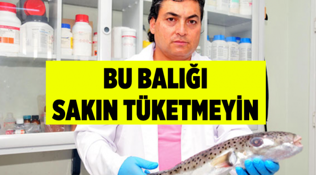 Bu balığı sakın tüketmeyin