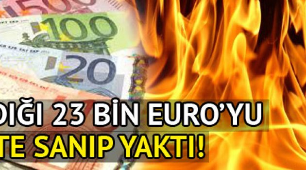 Çaldığı 23 bin Euro'yu sahte zannedip yaktı!