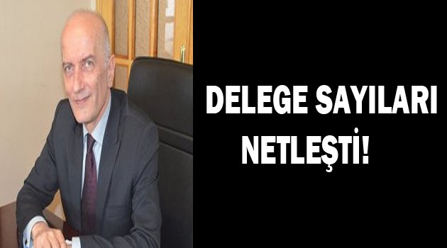 CHP’de delege sayıları netleşti