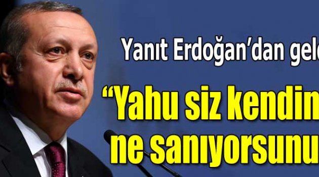 Cumhurbaşkanı Erdoğan'dan Ağrı iddialarına sert yanıt