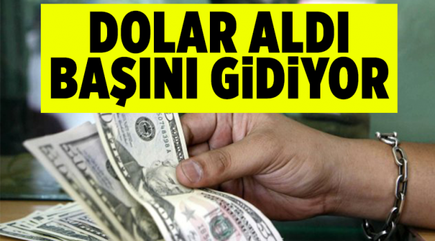 Dolar aldı başını gidiyor